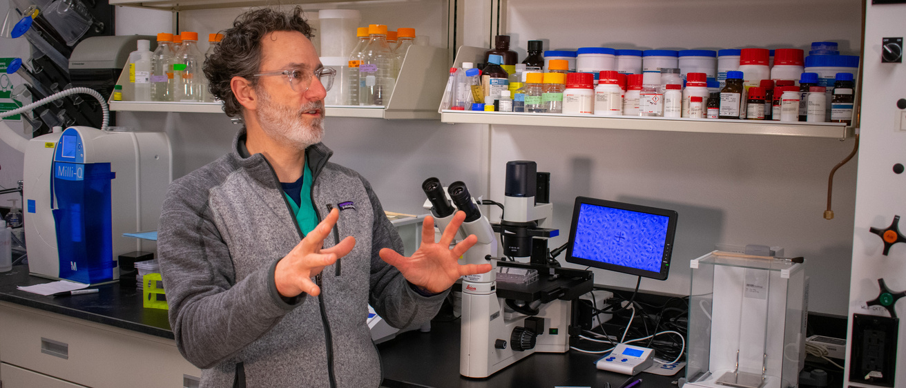 Dr. Mark Greiner in his research lab