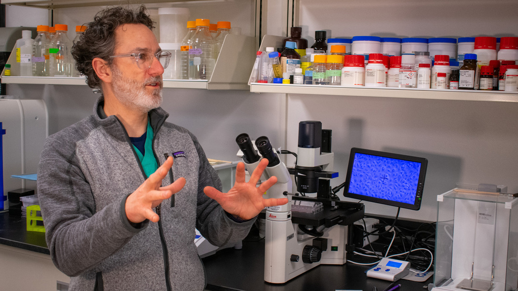 Dr. Mark Greiner in his research lab